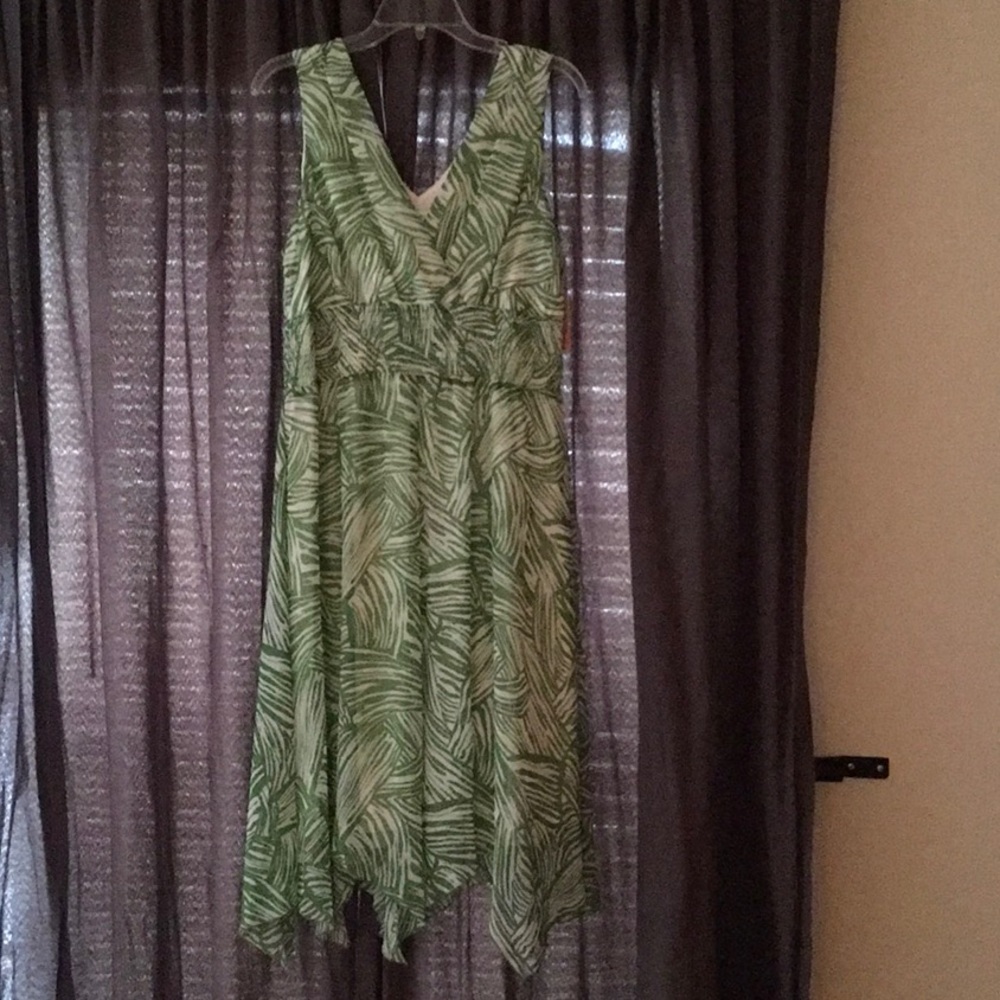 Dress barn Green and Cream Stripe dress